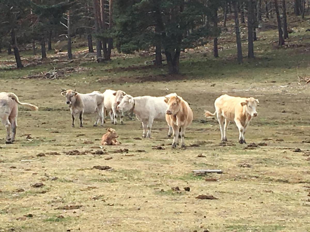 Casa Rural Senderismo Lumbreras Екстериор снимка